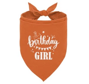 Orange Birthday Girl Dog Bandana Cute Funny Triangle Scarf Small Medium Large - Picture 1 of 4