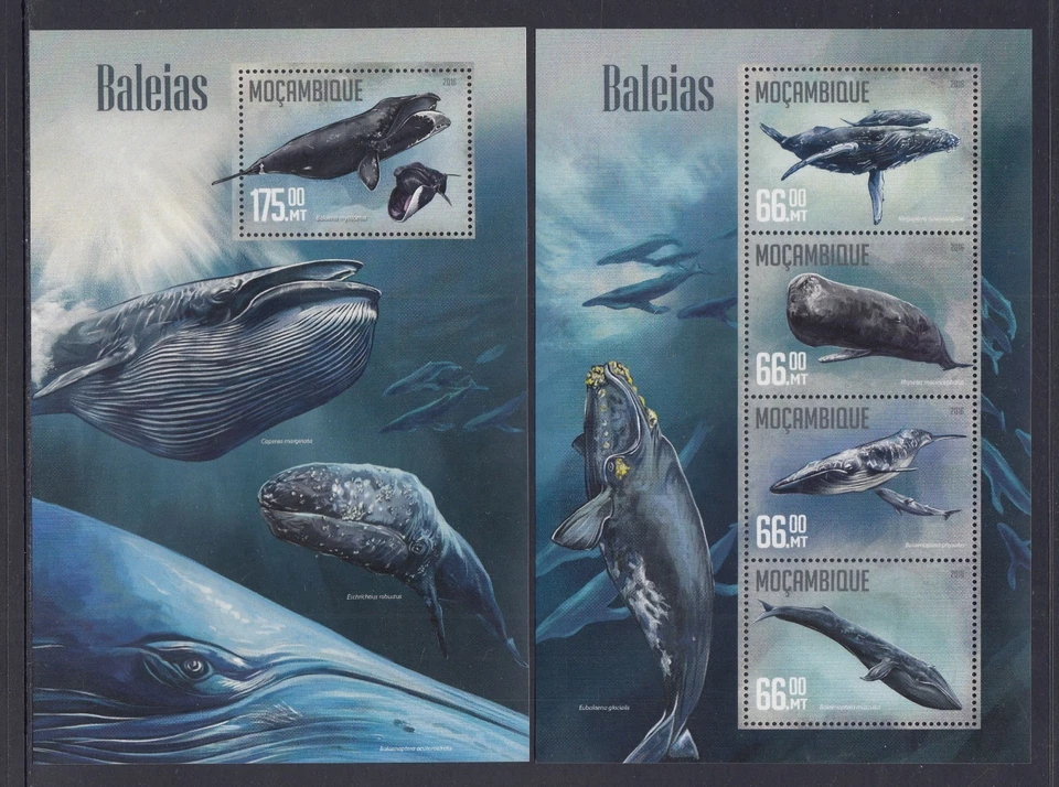 Mozambique 2016 Marine Life Whales set of 2 Mini Sheets, MUH - Image 1 of 1