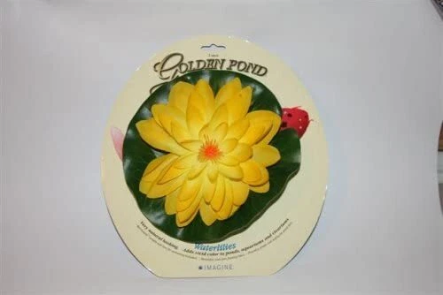 Lirio de agua flotante Imagine Gold grande 8 pulgadas amarillo Foto 1 de 1