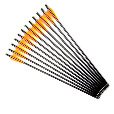 20''Fiberglass Arrows w/Replaceable Tips Archery F Recurve Bow Hunting Practice - Image 1 of 4