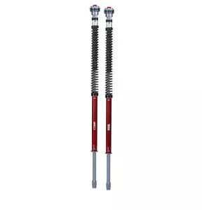 YSS Fork Cartridge Kit Upgrade HONDA KAWASAKI YAMAHA TRIUMPH APRILIA BMW suzuki - Picture 1 of 1