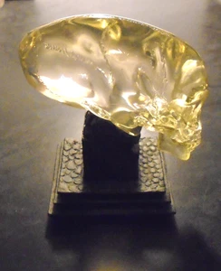 Indiana Jones Kingdom of The Crystal Skull Limited Edition Gift Set Skull Only - Bild 1 von 17