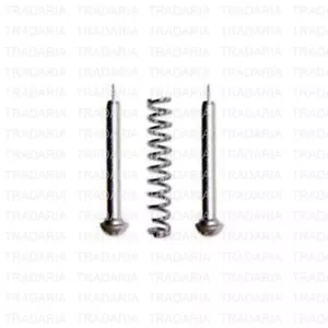 2 Spilli di Ricambio Molla per Orologio Cinturino Lunghezza Regolabile Link Pin - Foto 1 di 2