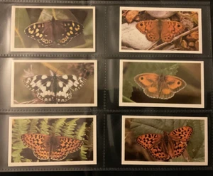 BRITISH BUTTERFLIES - JOHN PLAYER GRANDEE (1983) - FULL SET OF T32 CARDS - Picture 1 of 6