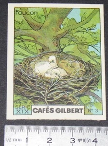 CHROMO 1936 CAFES GILBERT NIDS OISEAUX FAUCON BIRD NEST - Imagen 1 de 2