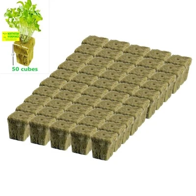 Grodan 1" pulgadas A OK enchufes de arranque cubos 50 unidades lana de roca medios de cultivo hidropónicos Foto 1 de 4