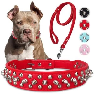 Collare per Animali Domestici con Rivetto e Guinzaglio Set Anti Morso Catena Cani Medio-Grandi Se R2W7 - Foto 1 di 24