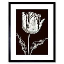 Tulip Flower Black and White Contour Folk Art Framed Art Print Picture 12X16