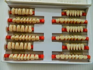 HALLOWEEN PROP - 3 Sets of Dental Quality Human Resin Teeth for Prop Building! - Picture 1 of 1