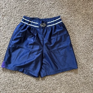 Nike Boys Youth L Vintage Basketball Shorts Blue Retro 90's Embroidered Logo - Picture 1 of 6
