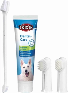 2561 Dental Care Kit, Cane - Foto 1 di 12