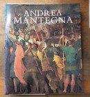 Andre Mantegna Book
