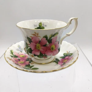 Vintage Royal Albert Bone China Prairie Rose Duo - Teetasse und Untertasse - Bild 1 von 15