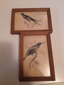 Lizars Bird Engravings Original Bookplate Framed Plate No. 5 and 10 - Picture 1 of 7