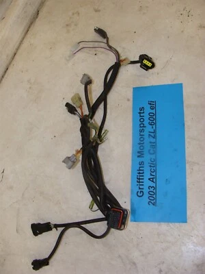 ARCTIC CAT ZL600 2003 EFI SS OEM ECU inyector de combustible cableado arnés motor Foto 1 de 4