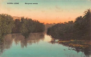 SIERRA LEONE - Mangrove swamp - Publ. Litherland, Canning & Ashworth - Picture 1 of 2