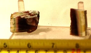Imperial Jaspis Lapidary Cabochon 2 Cabbing Stücke 0,7 oz (19 Gramm) - Bild 1 von 6