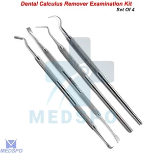 Hygiene Diagnostic Scaler Probe Dental Tooth Inspections Tartar Removal Tool Kit - Picture 1 of 9