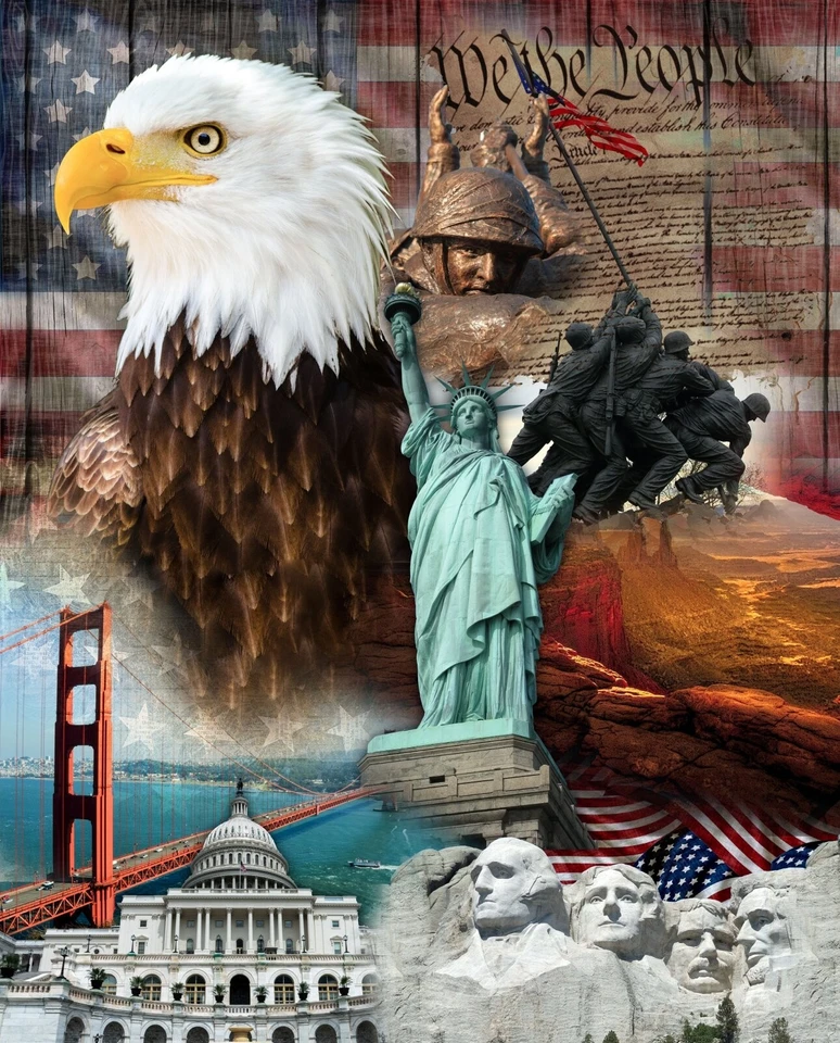 35" Fabric Panel - David Textiles Digital Eagle State Liberty Constitution Scene - Image 1 of 1