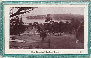 AUSTRALIA REAL PHOTO BOTANICAL GDNS SYDNEY POSTCARD - Picture 1 of 1