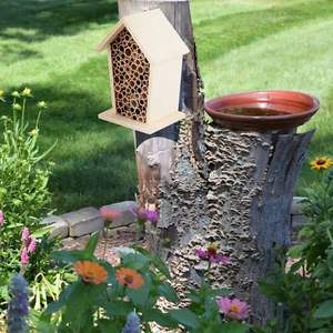 Wooden Insect Bee House Wood Shelter Nesting Box For Outdoor Garden Dec GU - Picture 1 of 10