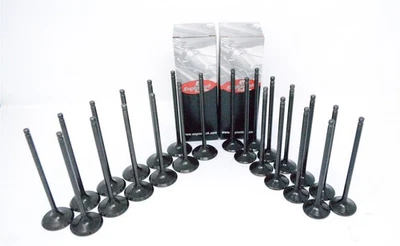 Fits 2005 2006 2007 2008 Acura RL TL 3.5L V6 24V 12 INTAKE & 12 EXHAUST VALVES - Image 1 of 3