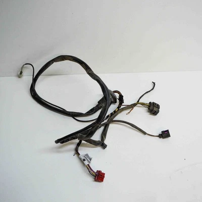 SEAT EXEO 3R2 Cable Harness 3r0971076 2.0 Diesel 105kw 2011 13638526 - Photo 1/4