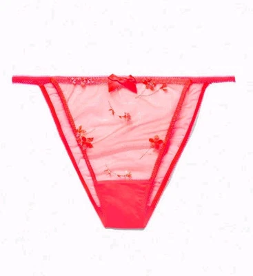 NWT Savage x Fenty Size 2X Foiled Sprigs Embroidered String Bikini Panties Pink - Image 1 of 4