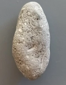13,95 gramos PIEDRA CALIZA FOSILÍFERA GRIS (fl1) - Imagen 1 de 6