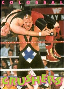 1994 Tarjeta de lucha libre vintage de WWF #36 Ludvig Borga CC novato a radiocontrol - Imagen 1 de 2