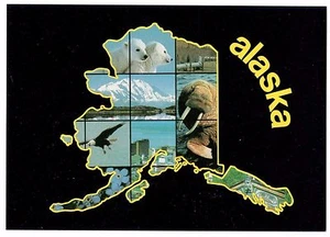 OUTLINE OF ALASKA CAPTURED IN A FEW OF ITS ELEMENTS POSTCARD - Picture 1 of 2