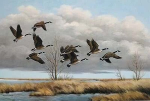 Maynard Reece - Neun Reisende - Kanadagänse - S/N Lithographie - signiert - postfrisch - Bild 1 von 1