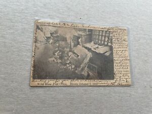 US 1906 PPC +Ruins of White Rose Post Office Card +Almond WI Anniversary CDS