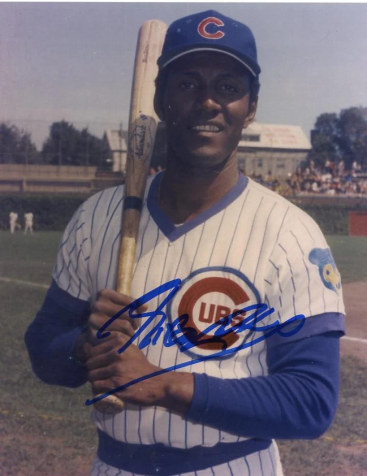 FOTO 8X10 FIRMADA AUTOGRAFIADA DE CACHORROS DE RICO CARTY CHICAGO CON CERTIFICADO DE AUTENTICIDAD Foto 1 de 1