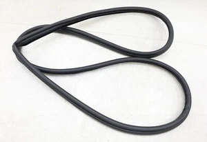 NEW OEM Ford Rear Door Body Mounted Weatherstrip 5G1Z-54253A10-AA Taurus 08-09 - Picture 1 of 4