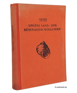 David Geyer: I nostri molluschi terrestri e d'acqua dolce | K. G. Lutz Verlag (1927) - Foto 1 di 4