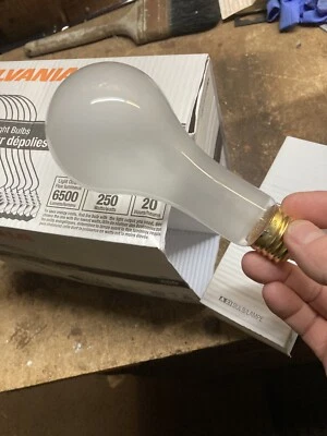 Brand New Never Used A23 Sylvania Stage & Studio  Frosted 250 Watt Light Bulb - Image 1 of 4