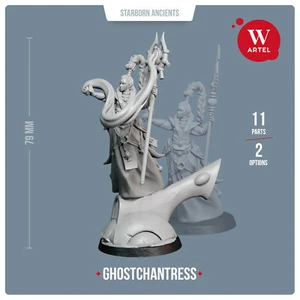 NEW Eldar Aeldari Spiritseer Farseer Warlock Artel W Ghostchantress A`Llyanna - Picture 1 of 7