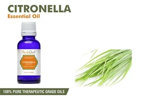Citronella Essential Oil 100% Pure Natural Aromatherapy Oils Therapeutic Grade - Picture 1 of 3