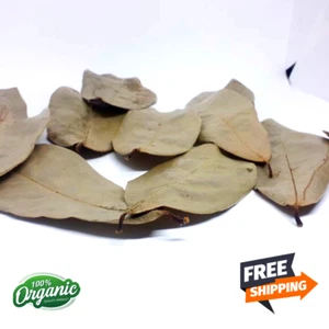 Soursop Dried Leaves 10 PCs Organic Natural Herbal Tea Annona Muricata Guanabana - Picture 1 of 13