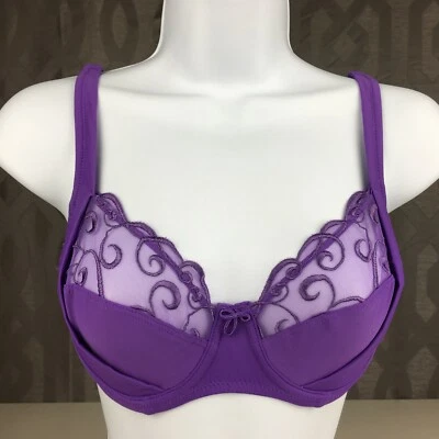 ALEGRO Sexy Lingerie with Embroidered Detail Underwire Bra - Purple Pansy 9035 - Image 1 of 4