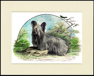 SKYE TERRIER HUNDE SCHÖNER HUNDEDRUCK BILD EINRAHMENFERTIG MONTIERT - Bild 1 von 1