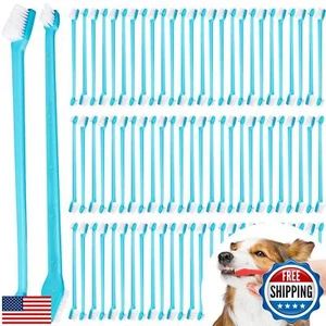 Brand Name 100pcs Double Headed Soft Bristle Toothbrush Brush Kit - Long Hand - Picture 1 of 5