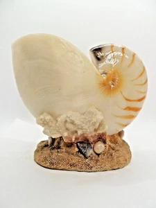 Nautilus Shell Sculpture Planter Soap Holder Coral and Seashells Vintage Ocean - Picture 1 of 12