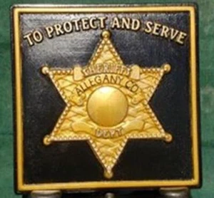 "Molde de hormigón escalonado placa del departamento del sheriff de 15" - Imagen 1 de 8
