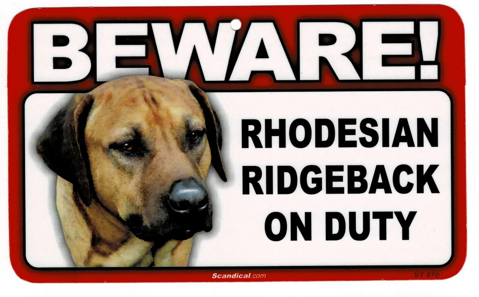 CUIDADO CON EL LETRERO LAMINADO RHODESIAN RIDGEBACK PERRO/MASCOTA. ENVÍO COMBINADO. Foto 1 de 1