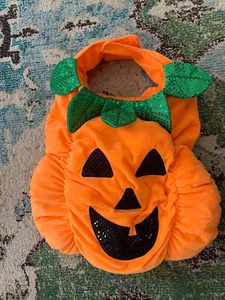 Thrills & Chills Collection Pumpkin L Animal Costume - Picture 1 of 3