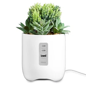 iHome Faux Succulent with Charging Station - Picture 1 of 6