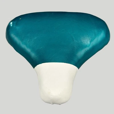 Asiento de sillín de bicicleta Troxel de colección verde azul aguamarina piezas de bicicleta Moscú Tenn EE. UU. Foto 1 de 4