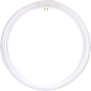 6- SUNLITE FC12T9/CW Circline Fluorescent Lamps, 12-Inch 32 Watts, 2100 Lumens - Picture 1 of 1
